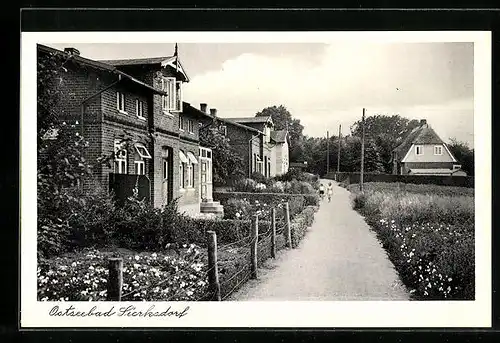 AK Sierksdorf, Ostseebad, Ortspartie mit Strasse