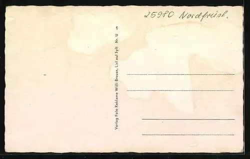 AK List auf Sylt, Nordseebad, Landwehrdeich