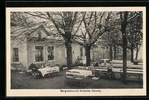 AK Hörnitz, Bergrestaurant Koitsche von Richard Schuster