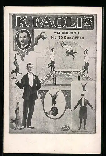 AK K. Paoli`s Weltberühmte Hunde und Affen, Dressur