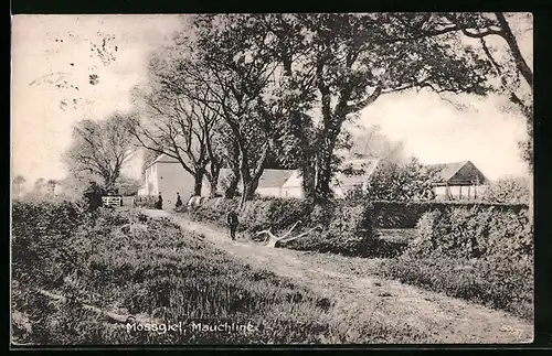 AK Mauchline, Mossgiel