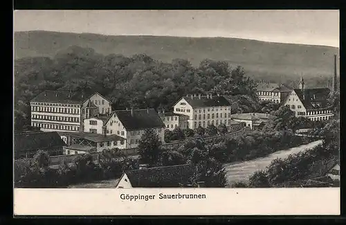 AK Göppingen, Ortspartie mit Sauerbrunnen