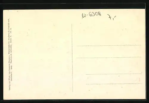 AK Pohlgöns, Ansicht vom Tor