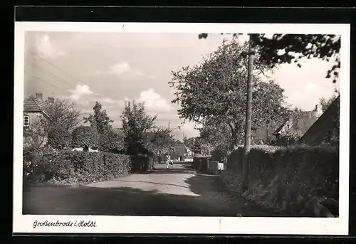AK Grossenbrode i. Holst., Strassenpartie einer Wohngegend