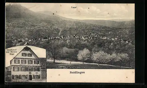 AK Neidlingen, Gasthaus zur Krone Post, Totalansicht