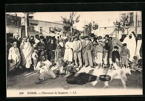 AK Tunis, Charmeur de Serpents, Schlangenbeschwörer