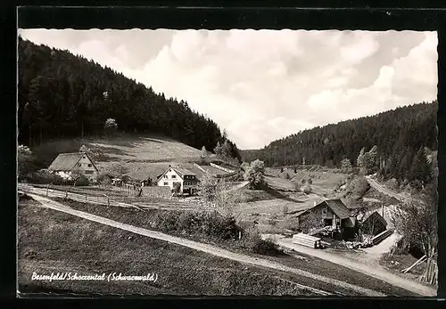 AK Besenfeld / Schwarzwald, Gesamtansicht mit Gasthof Forelle