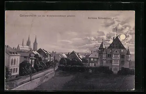 Mondschein-AK Geisenheim, Schloss Schoenborn von der Winterlandstrasse aus gesehen