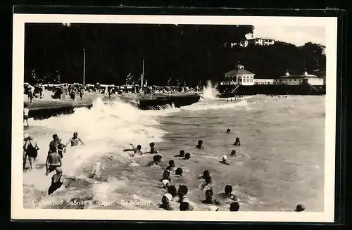 AK Sassnitz / Rügen, Badeleben am Ufer