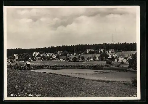 AK Bockswiese /Oberharz, Ortspartie