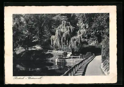 AK Rostock, Strasse Unterwall mit Bäumen