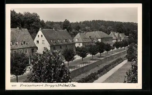 AK Berggiesshübel i. Sa., Häuserreihe mit HO-Gaststätte