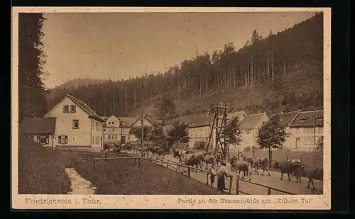 AK Friedrichroda i. Thür., Hessenmühle am Kühlen Tal