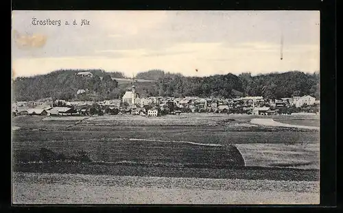 AK Trostberg a. d. Alz, Panorama