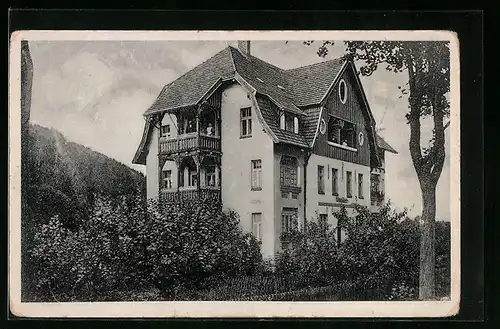 AK Bad Altheide, Wittigheim von Albert Wittig, Höllentalstr. 24