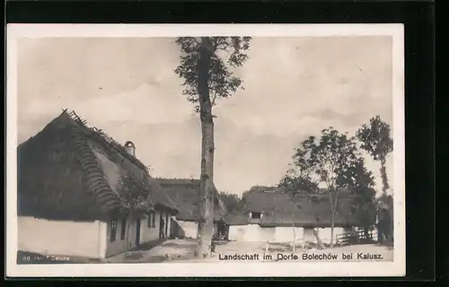 AK Bolechów bei Kalusz, Landschaft im Dorfe