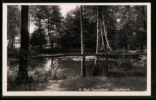 AK Bad Oppelsdorf, Teich im Carolapark