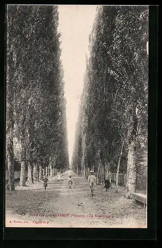 AK St-Savin-s-Gartempe, La Rochangoût