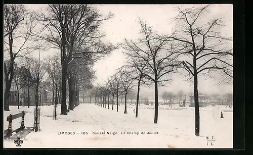 AK Limoges, Sous la Neige, le Champ de Juillet