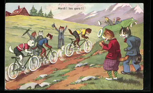 AK Katzen bei einem Radrennen in den Bergen, vermenschlichte Tiere