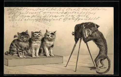 Präge-AK Affe fotografiert drei Katzen, vermenschlichte Tiere