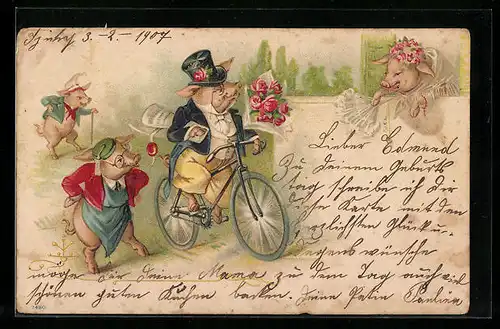 AK Eber auf dem Fahrrad mit Blumen für die Sau, vermenschlichte Tiere