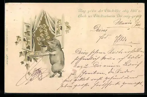 Präge-AK Schwein mit Glücksklee am Fenster, vermenschlichte Tiere