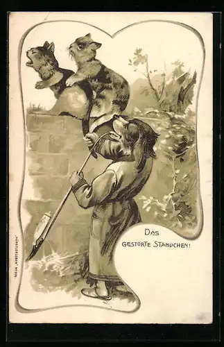 AK Hund zieht Katze auf einer Mauer am Schwanz, vermenschlichte Tiere