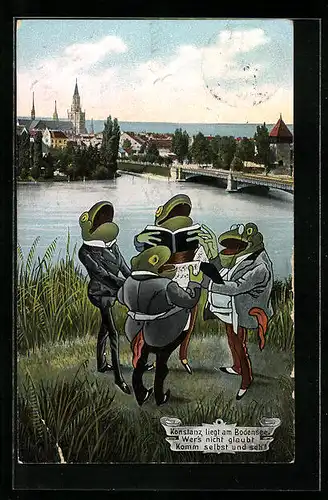 AK Konstanz am Bodensee, Uferpartie mit singen Fröschen, vermenschlichte Tiere