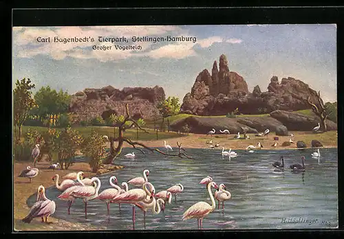 Künstler-AK Hamburg-Stellingen, Carl Hagenbeck`s Tierpark, Grosser Vogelteich