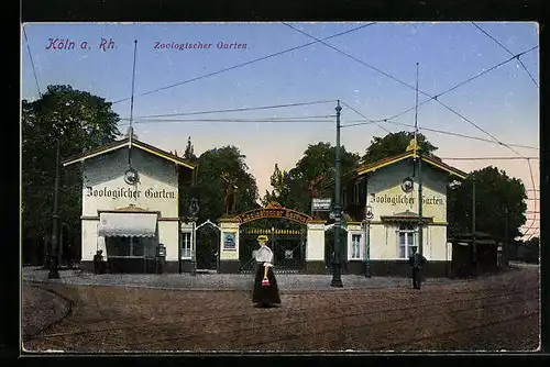 AK Köln a. Rh., Zoologischer Garten