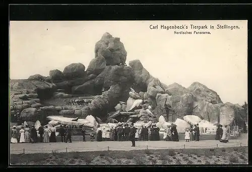 AK Hamburg-Stellingen, Carl Hagenbeck`s Tierpark, Nordisches Panorama