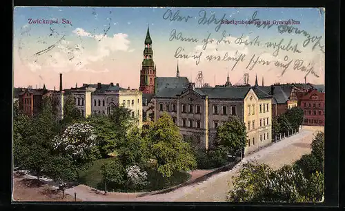 AK Zwickau i. Sa., Schulgrabenweg mit Gymnasium