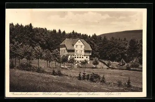 AK Braunlage / Oberharz, Gasthaus am Waldeshang