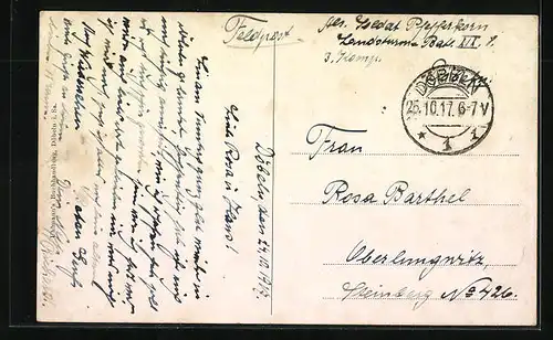 AK Döbeln i. S., Gesamtansicht