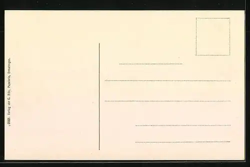 AK Ermatingen, Uferpartie mit Booten
