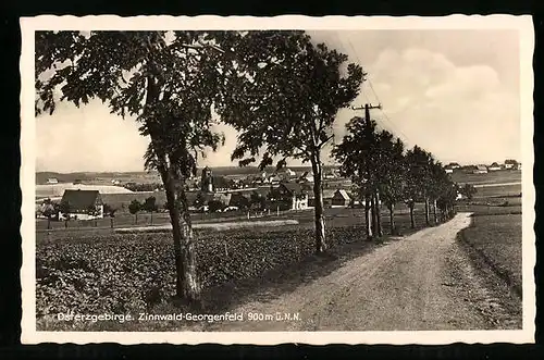 AK Zinnwald-Georgenfeld / Osterzgebirge, Blick zum Ort