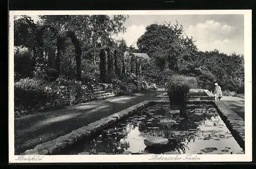 AK Bielefeld, Teichpartie im Botanischen Garten