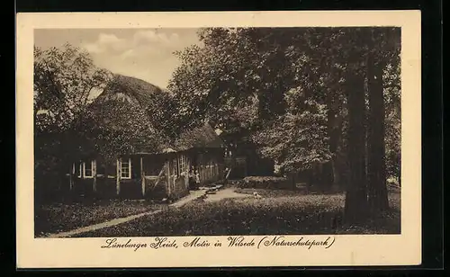 AK Wilsede / Lüneburger Heide, Hütte im Naturschutzpark