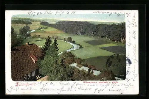 AK Fallingbostel, Böhmepartie unterhalb der Mühle
