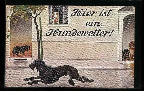 Künstler-AK Hier ist ein Hundewetter!, Dackel und andere Hunde verstecken sich vor Regen im Haus