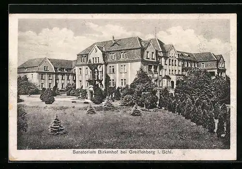 AK Greiffenberg i. Schl., Sanatorium Birkenhof