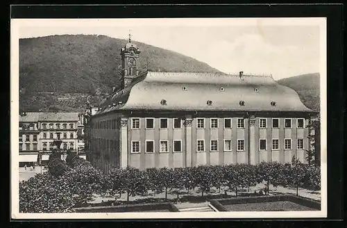 AK Heidelberg, Blick auf die Universität