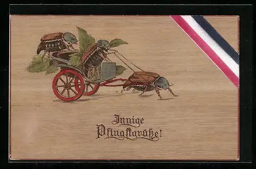 Holzbrand-Imitations-AK Maikäfer-Kutsche und Banderole in Nationalfarben, Pfingstgruss