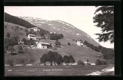 AK Champ-du-Moulin, Panorama