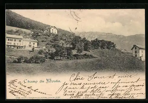 AK Champ-du-Moulin, Panorama