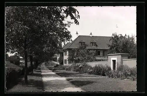 AK Freidorf b. Basel, Strassenpartie mit Bäumen