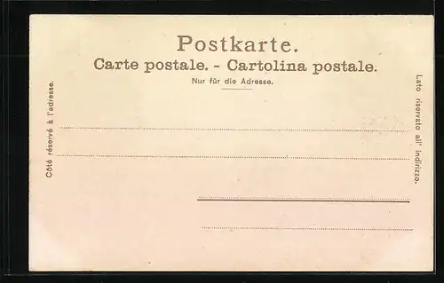 AK Basel, Pfalz mit Münster