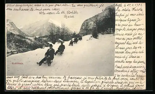 AK Ausflügler mit Schlitten in den Bergen, Schlitteln