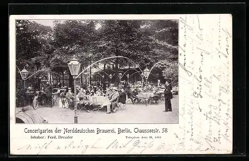 AK Berlin, Gasthaus Norddeutsche Brauerei F. Dressler in der Chausseestrasse 58, Gartenansicht